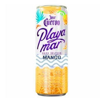 Thumbnail for Bebida Preparada Playamar Hard Mango 355 Ml