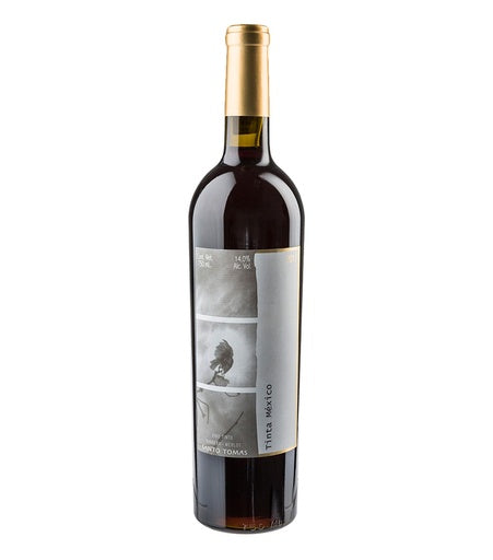 Vino Tinto Santo Tomás Barbera 750 Ml